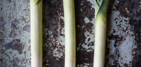 leek