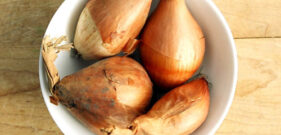 luk-shalot