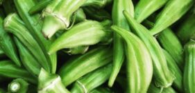 okra_1