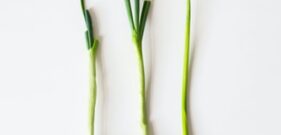 onion