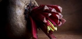 Beetroot