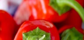Capsicum