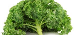 KALE