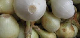 onion