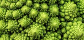 romanesco