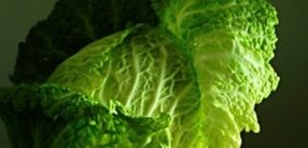 Savoy cabbage