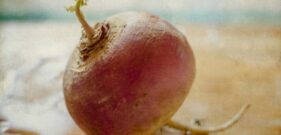 Turnip
