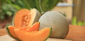 cantaloupe-sep132019-min