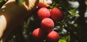 farrinni-20KB3mcASs0-unsplash