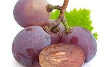 Grape variety Lydia