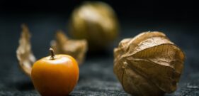jonathan-pielmayer-6yYLqb-Z8nQ-unsplash