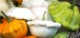 squash
