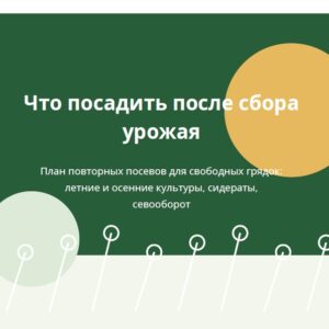 Что посадить после сбора урожая