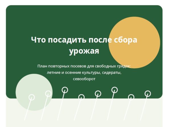 Что посадить после сбора урожая