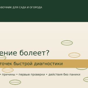 Растение болеет? 50 карточек "быстрой диагностики"