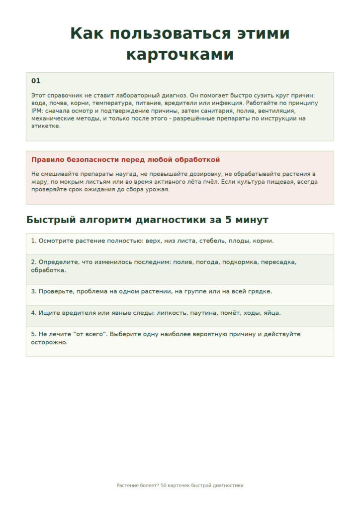 Попередній перегляд сторінки 2