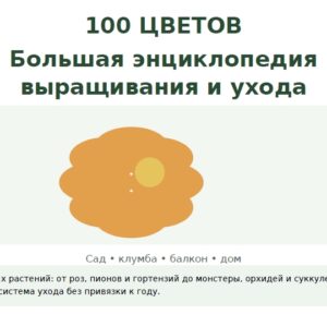 100 ЦВЕТОВ