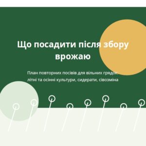 Що посадити після збору врожаю