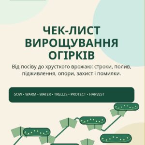 Чек-лист заходів щодо вирощування огірків